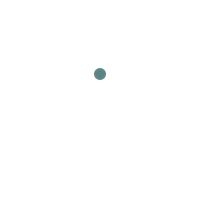 Veridian Dark Logo